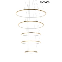 MOOSEE lampa wisząca RING SLIM L złota