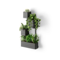 UMBRA zestaw doniczek CUBIKO czarny