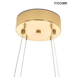 MOOSEE lampa wisząca NENUFAR złota