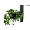 MOOSEE lampa ścienna PLANT WALL czarna